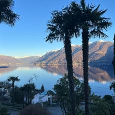IMG-20250317-WA0012