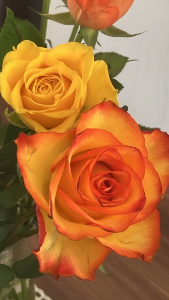 IMG-20250317-WA0014