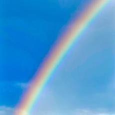 IMG-20250317-WA0015