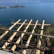 IMG-20250317-WA0017